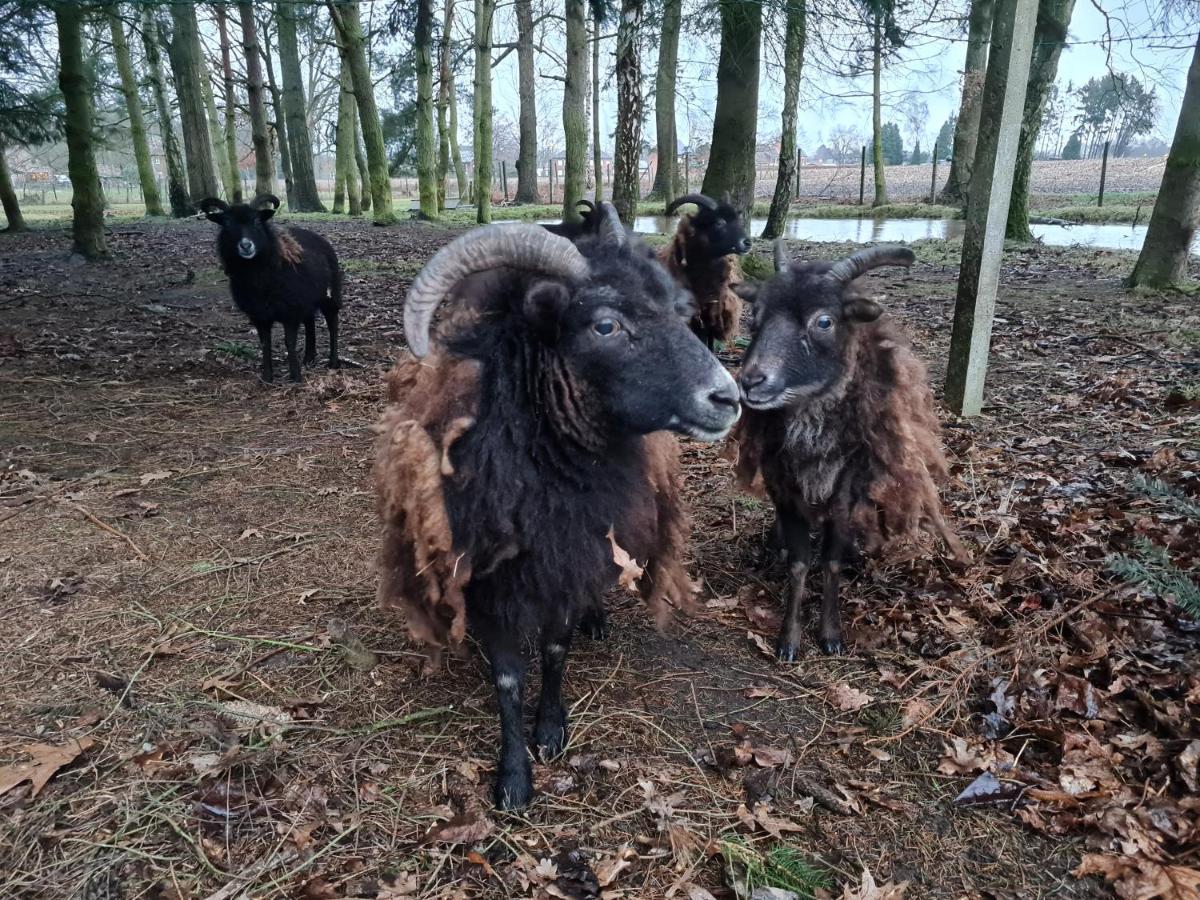 Parkhoeve Glamping Ham Zewnętrze zdjęcie